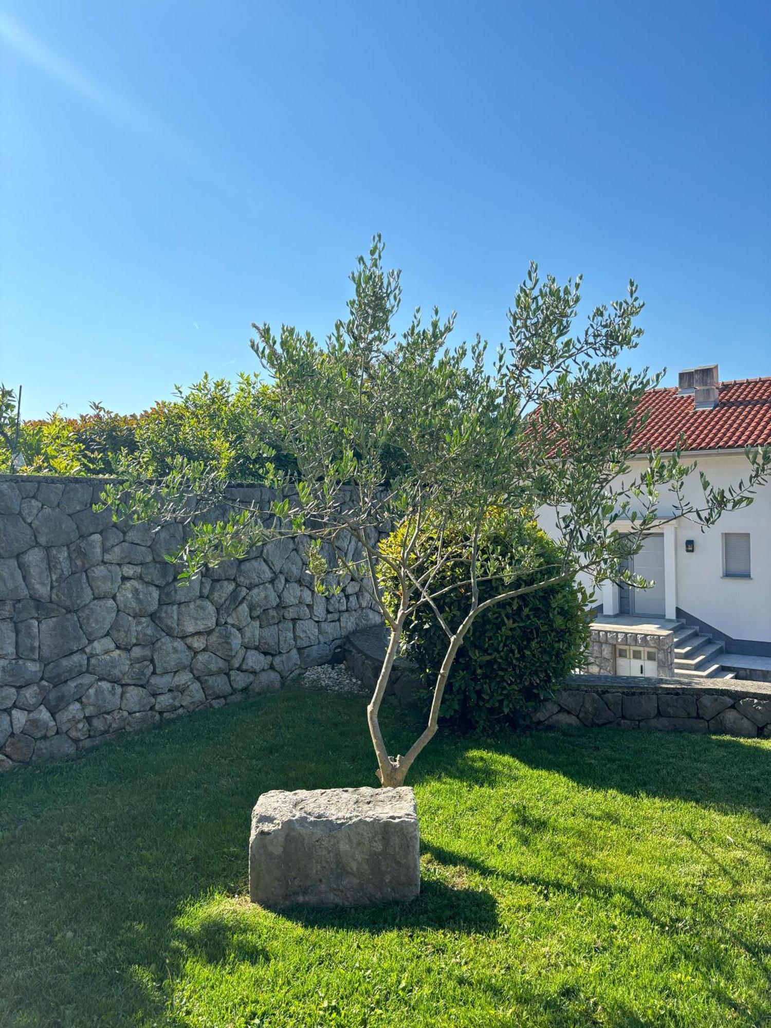 Va Kastav Apartment Exterior photo